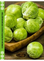 Капуста брюссельская РОЗЕЛЛА