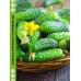 Огурец ПАЛАНОЧКИ КОРНИШОН