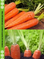 Морковь КРАСНАЯ БОЯРЫНЯ 20 грамм