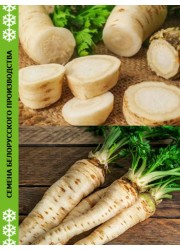 Петрушка корневая сахарная  2 гр